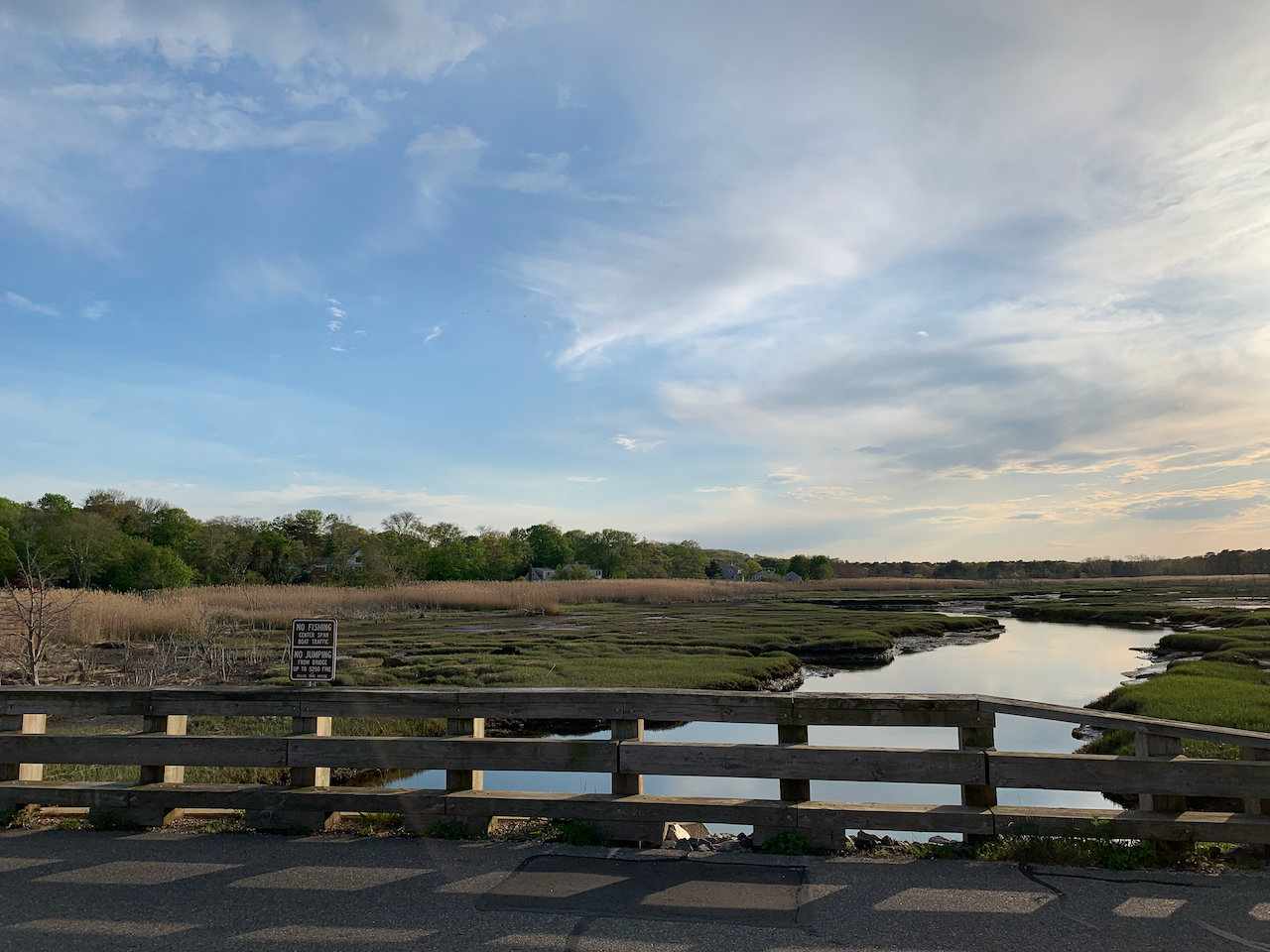 Marsh from Bridge Street