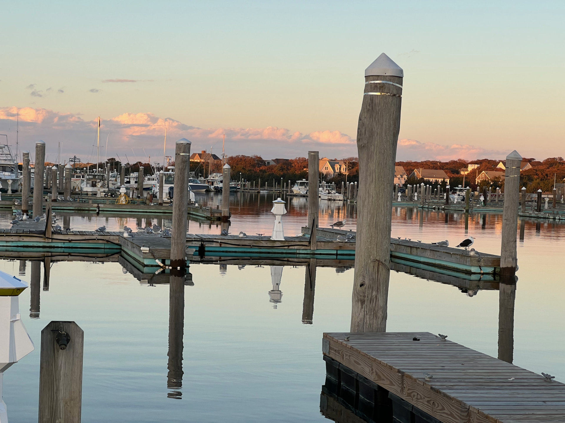 Marina