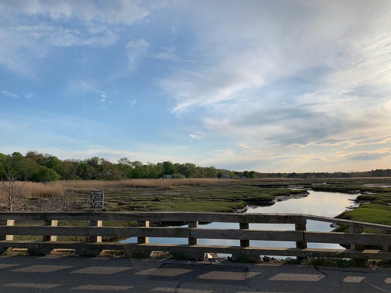 Marsh from Bridge Street