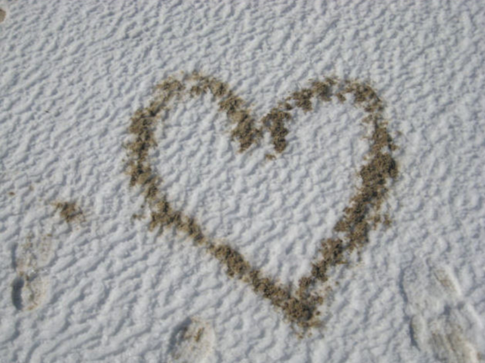 Seaweed Valentine