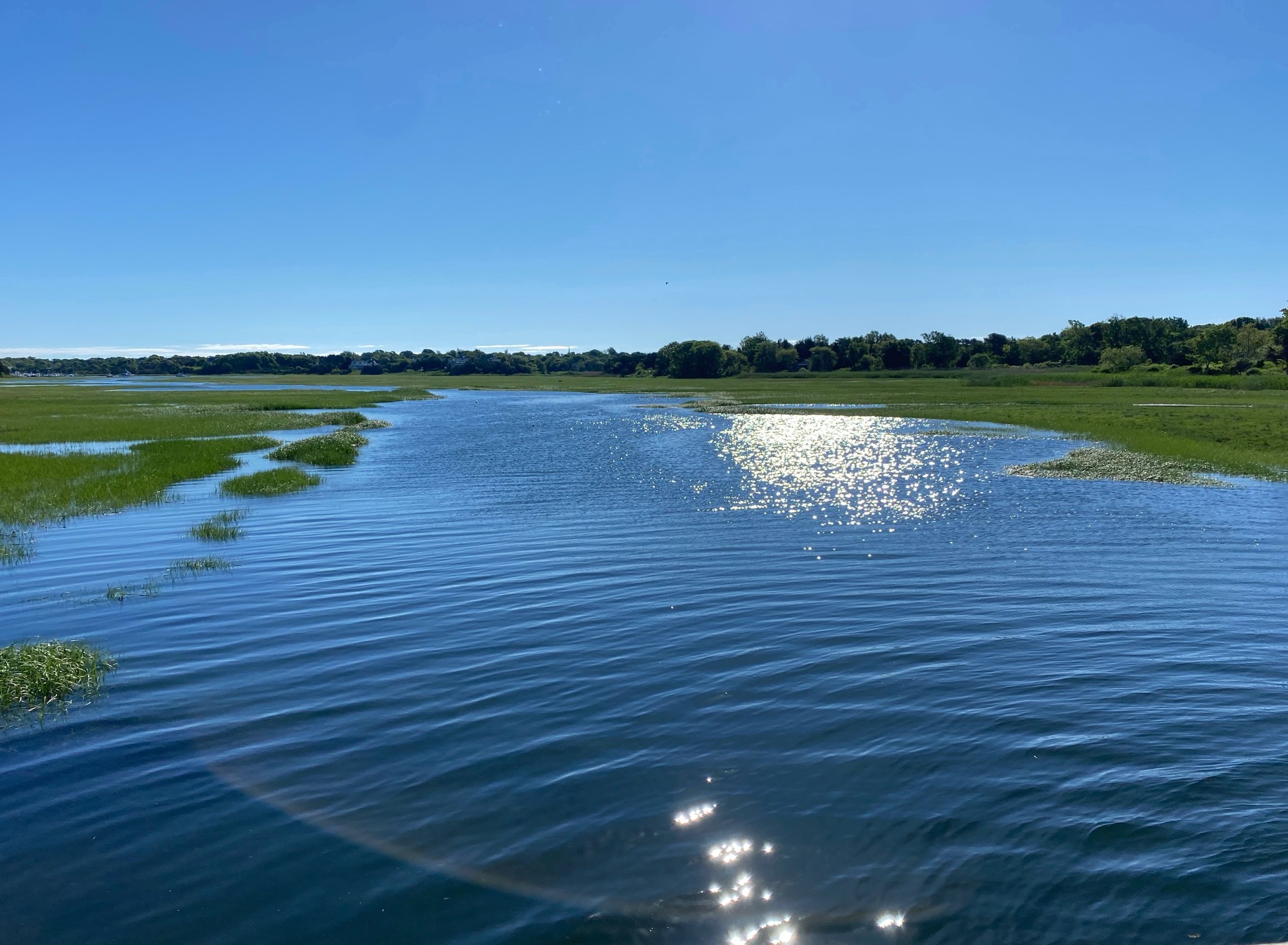 High Tide on Sesuit Creek